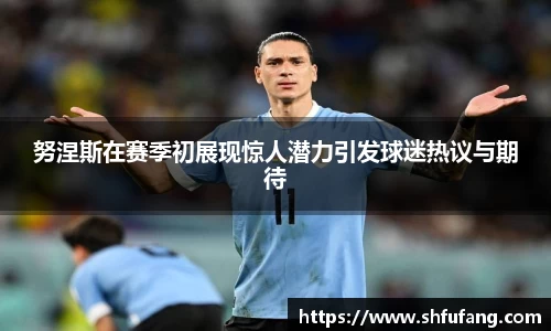 努涅斯在赛季初展现惊人潜力引发球迷热议与期待