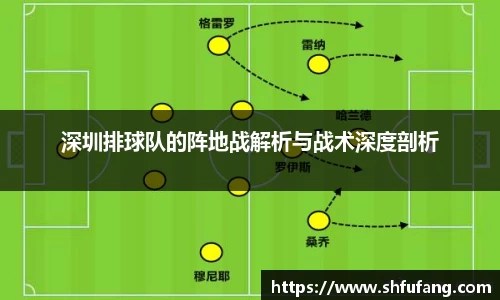 深圳排球队的阵地战解析与战术深度剖析